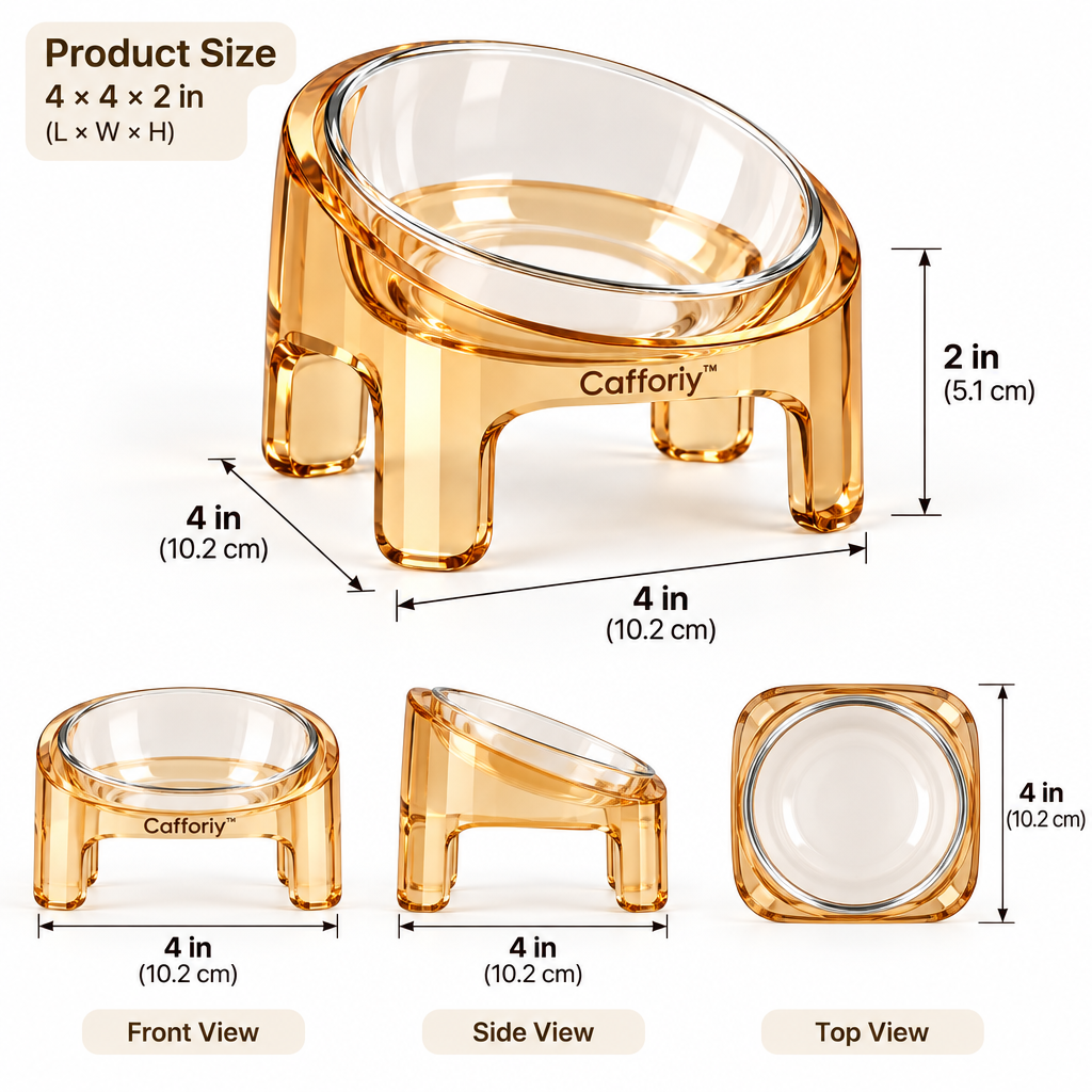 Cafforiy™ Amber Clear Raised Glass Pet Bowl — Product dimensions